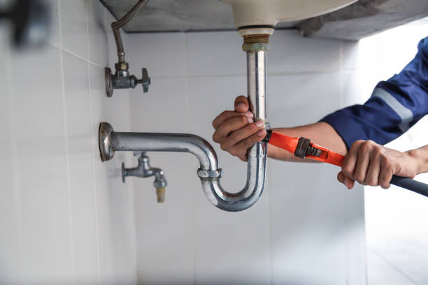Best Commercial Plumbing Services  in Lyons, CO